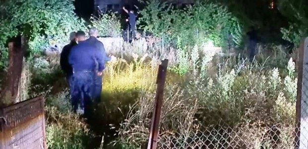 Αρκούδα εμφανίστηκε στην οδό Μαβίλη 